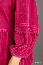Load image into Gallery viewer, Velvet Blouse
